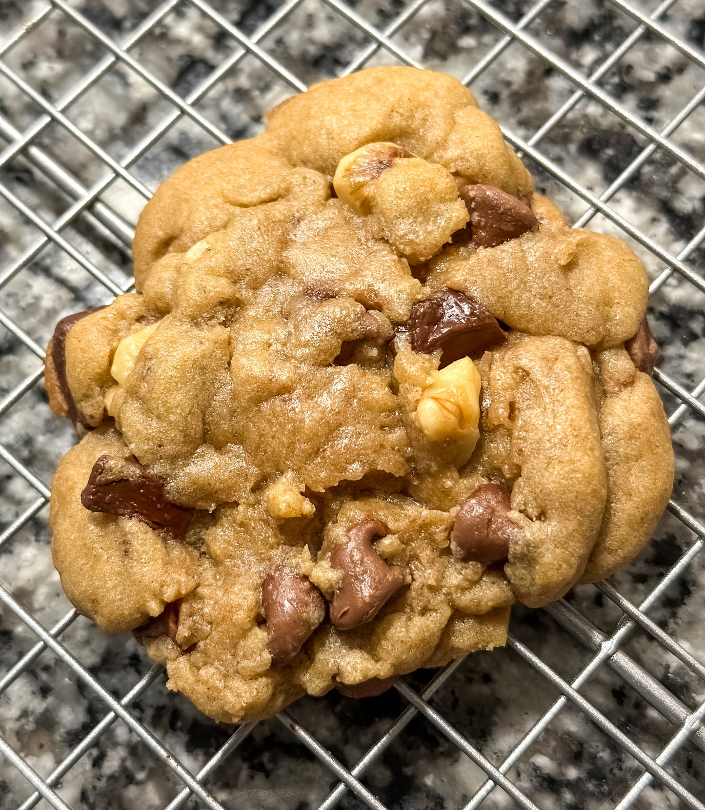 Chocolate Chip Walnut Cookies