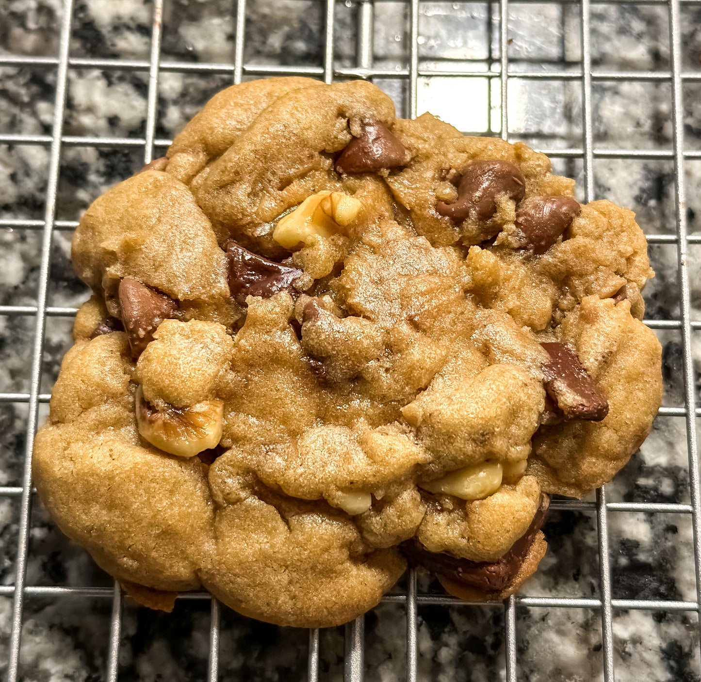 Chocolate Chip Walnut Cookies